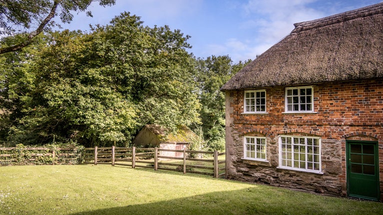 Beech Cottage has a thatched roof and a shared rear garden with lawn and fence, Dorset